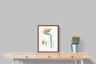 Pixalot ® Bird of Paradise Vintage Illustration