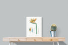 Pixalot ® Bird of Paradise Vintage Illustration