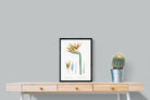 Pixalot ® Bird of Paradise Vintage Illustration