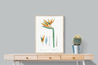 Pixalot ® Bird of Paradise Vintage Illustration
