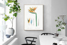 Pixalot ® Bird of Paradise Vintage Illustration