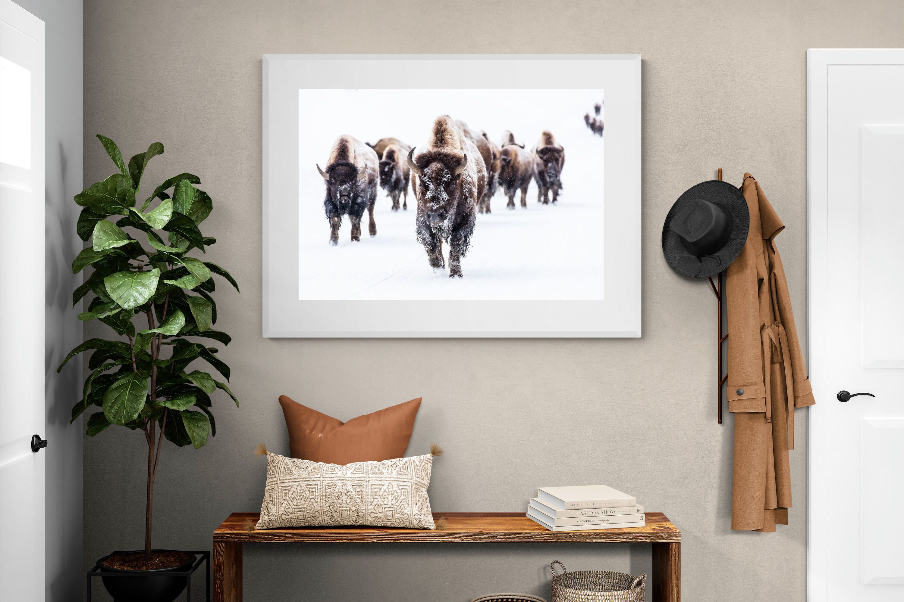 Pixalot Bison Herd