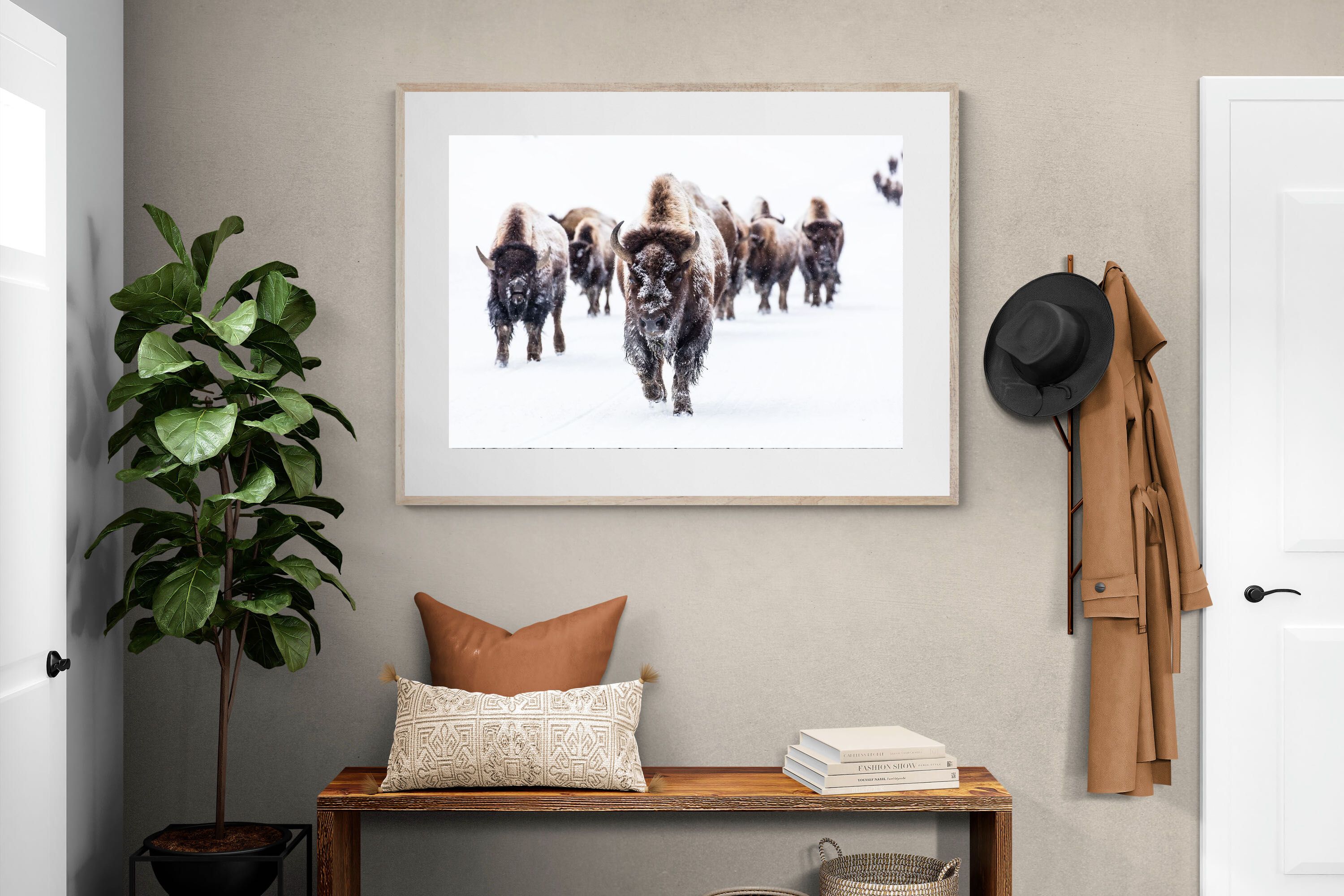 Pixalot Bison Herd