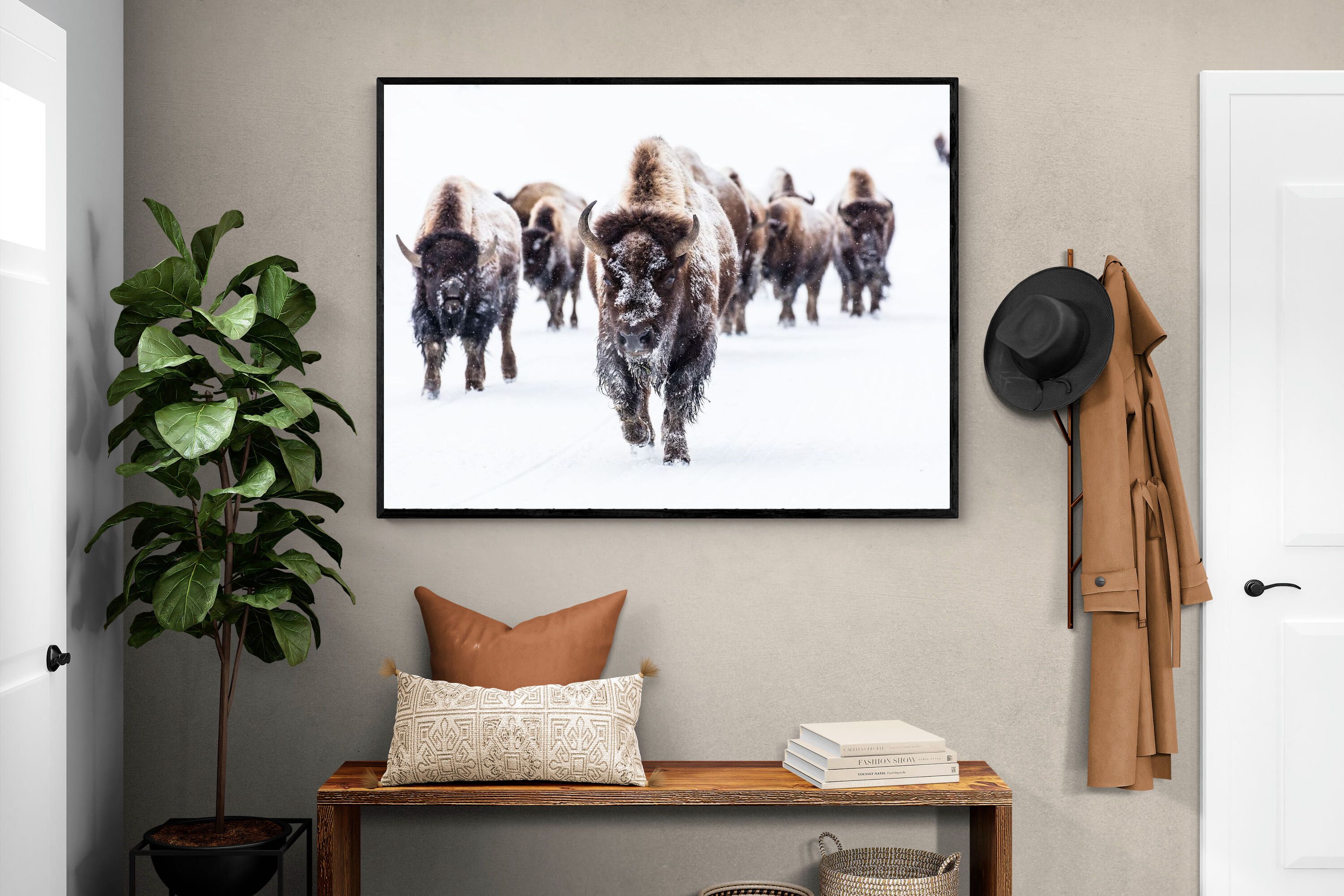 Pixalot Bison Herd