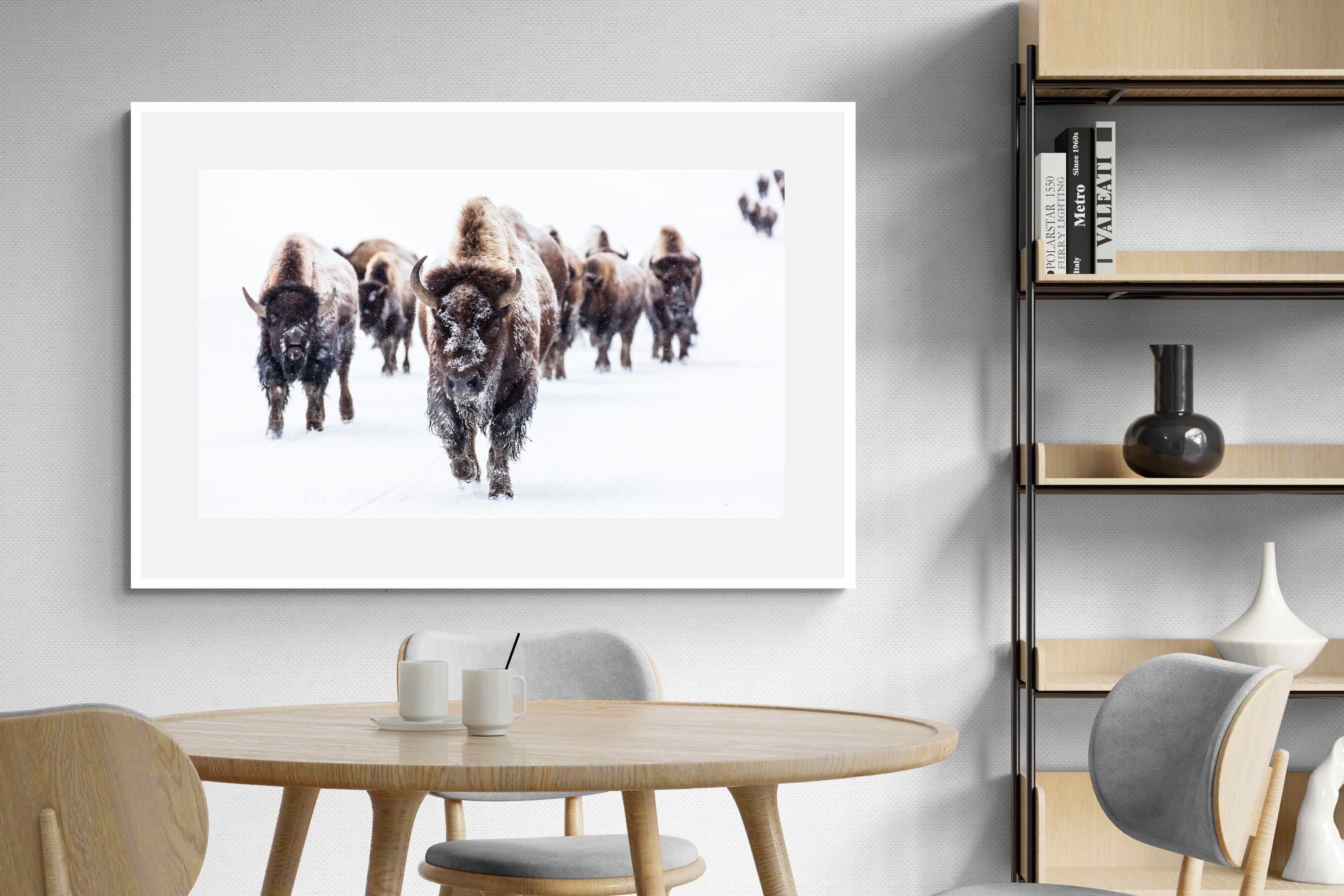 Pixalot Bison Herd