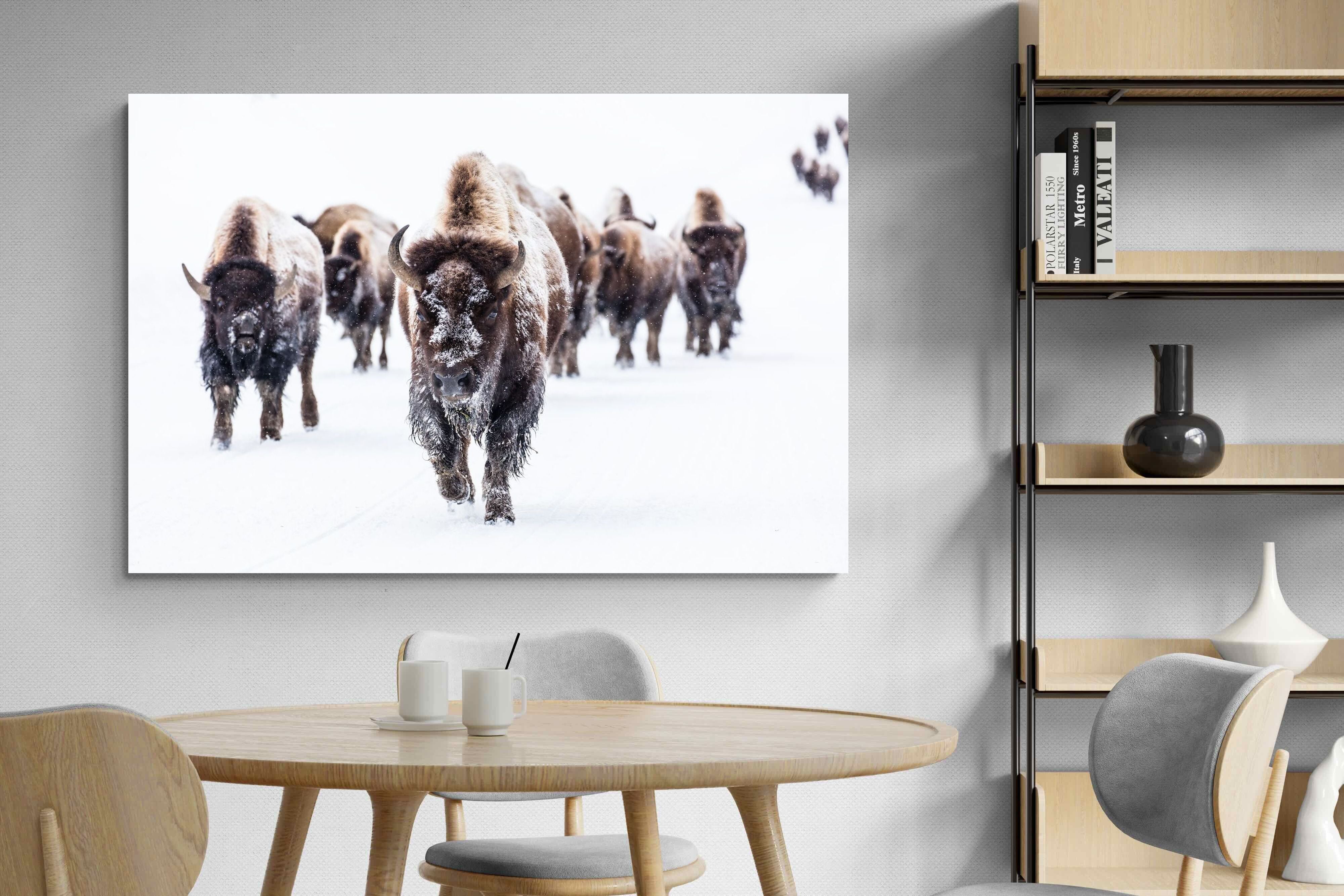 Pixalot Bison Herd