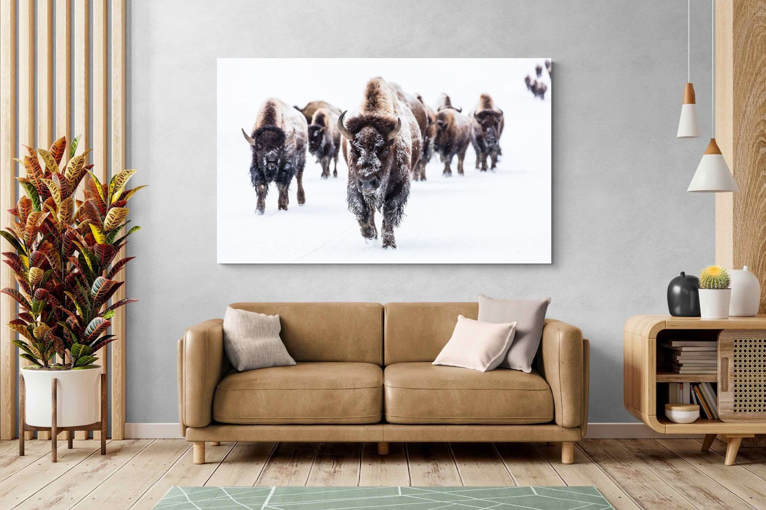 Pixalot Bison Herd