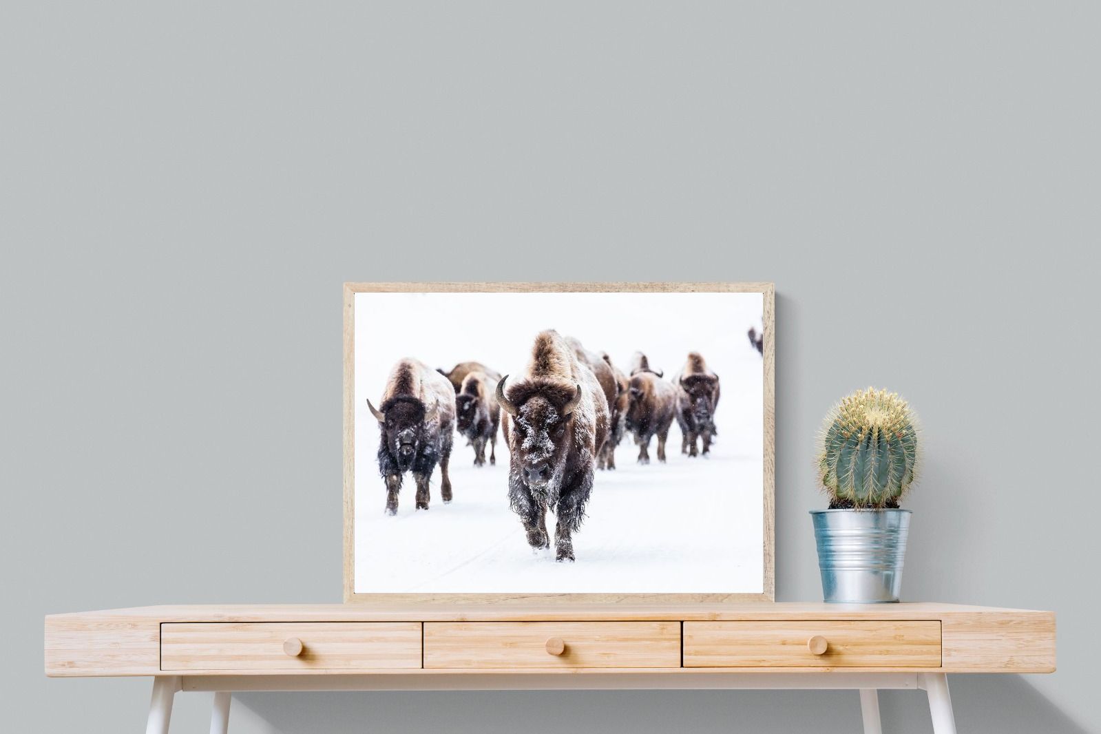 Pixalot Bison Herd