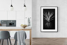 Pixalot Black Aloe