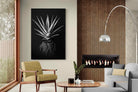 Pixalot Black Aloe