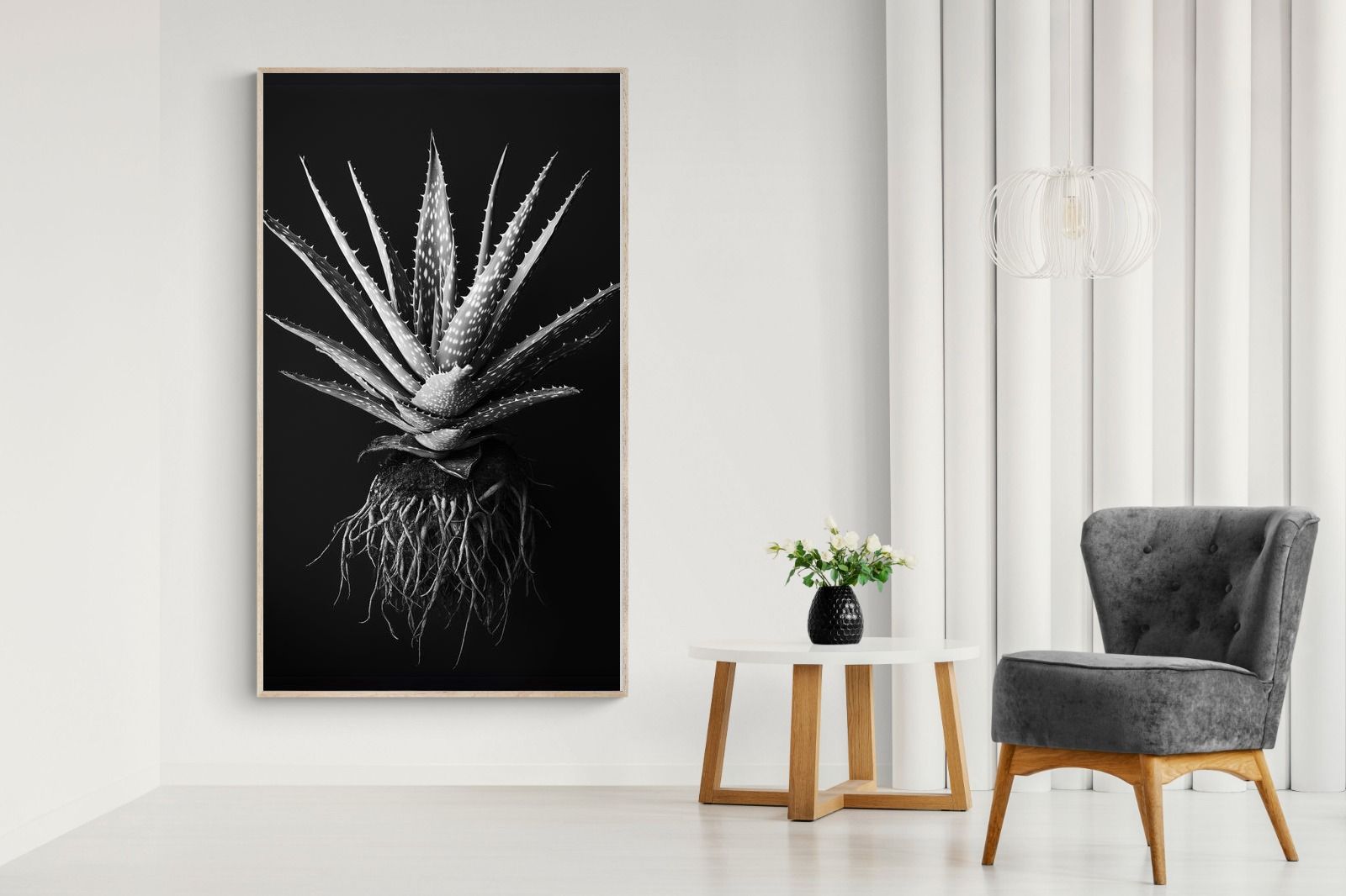Pixalot Black Aloe