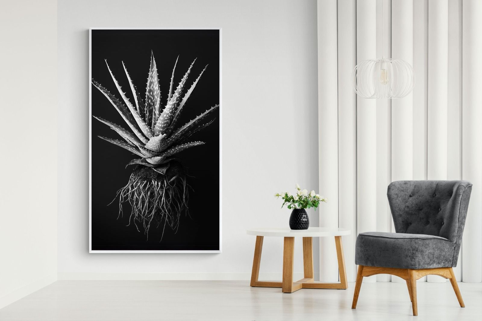 Pixalot Black Aloe