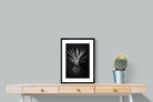 Pixalot Black Aloe