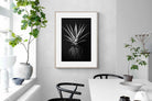 Pixalot Black Aloe