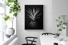 Pixalot Black Aloe