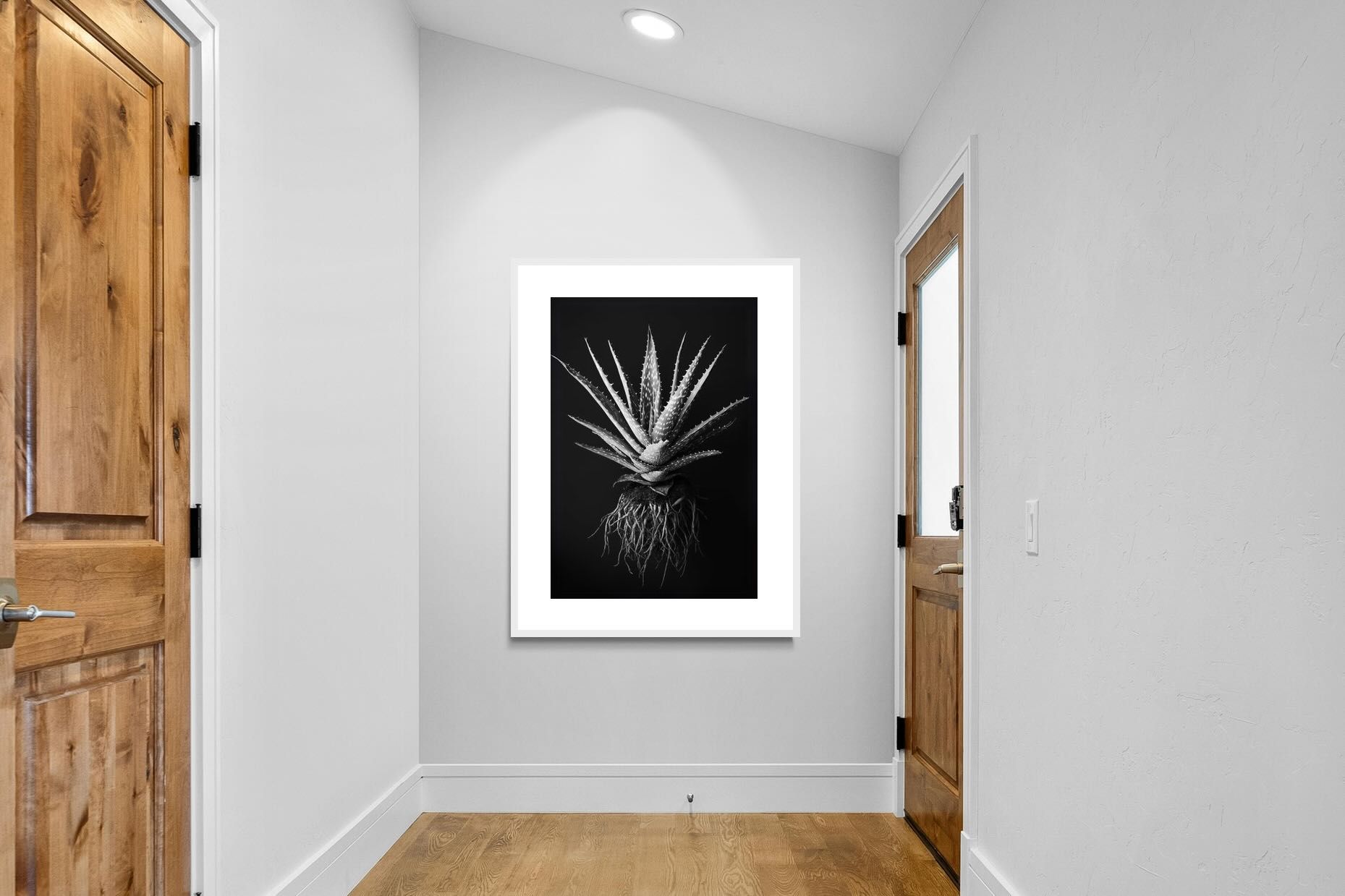 Pixalot Black Aloe