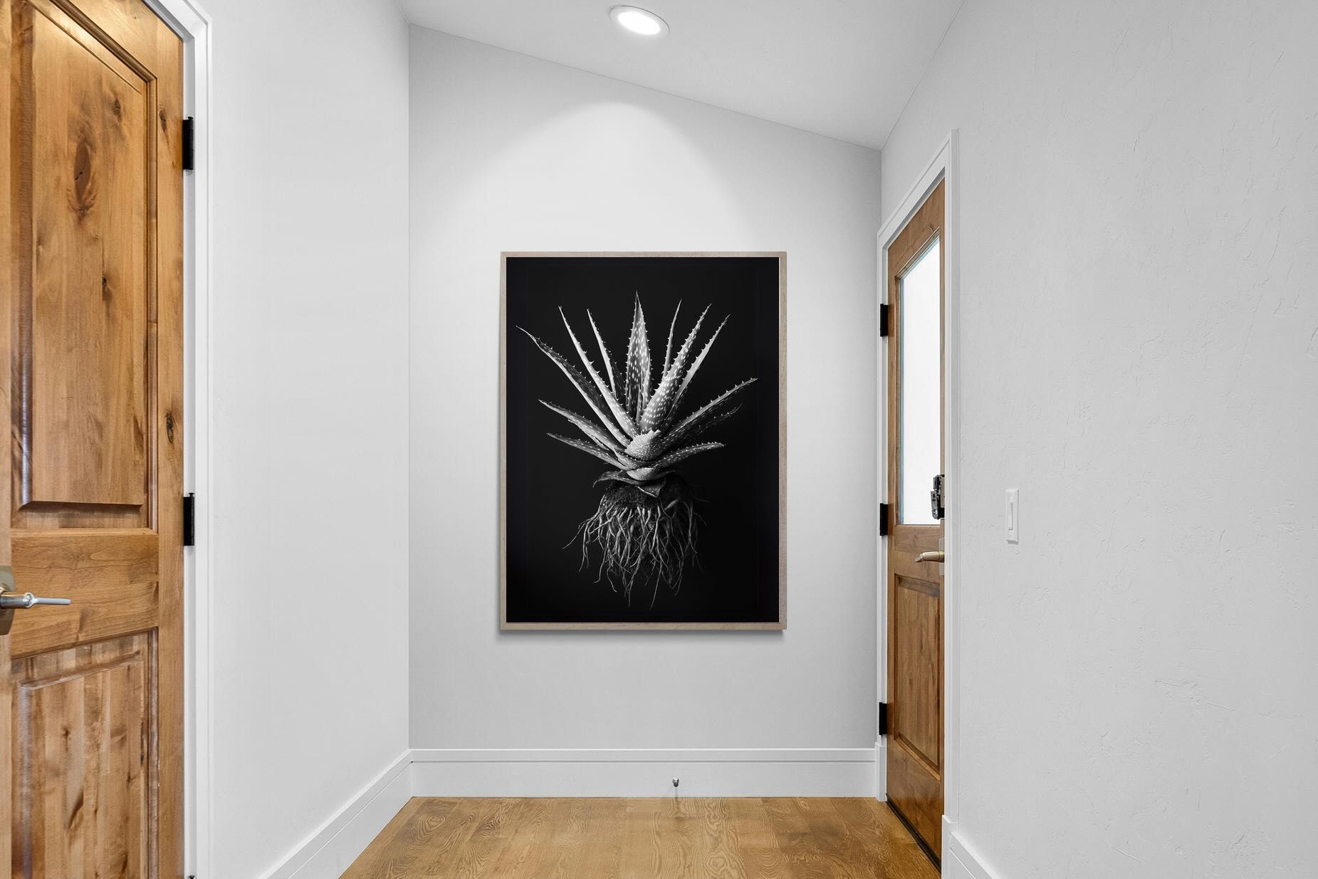 Pixalot Black Aloe
