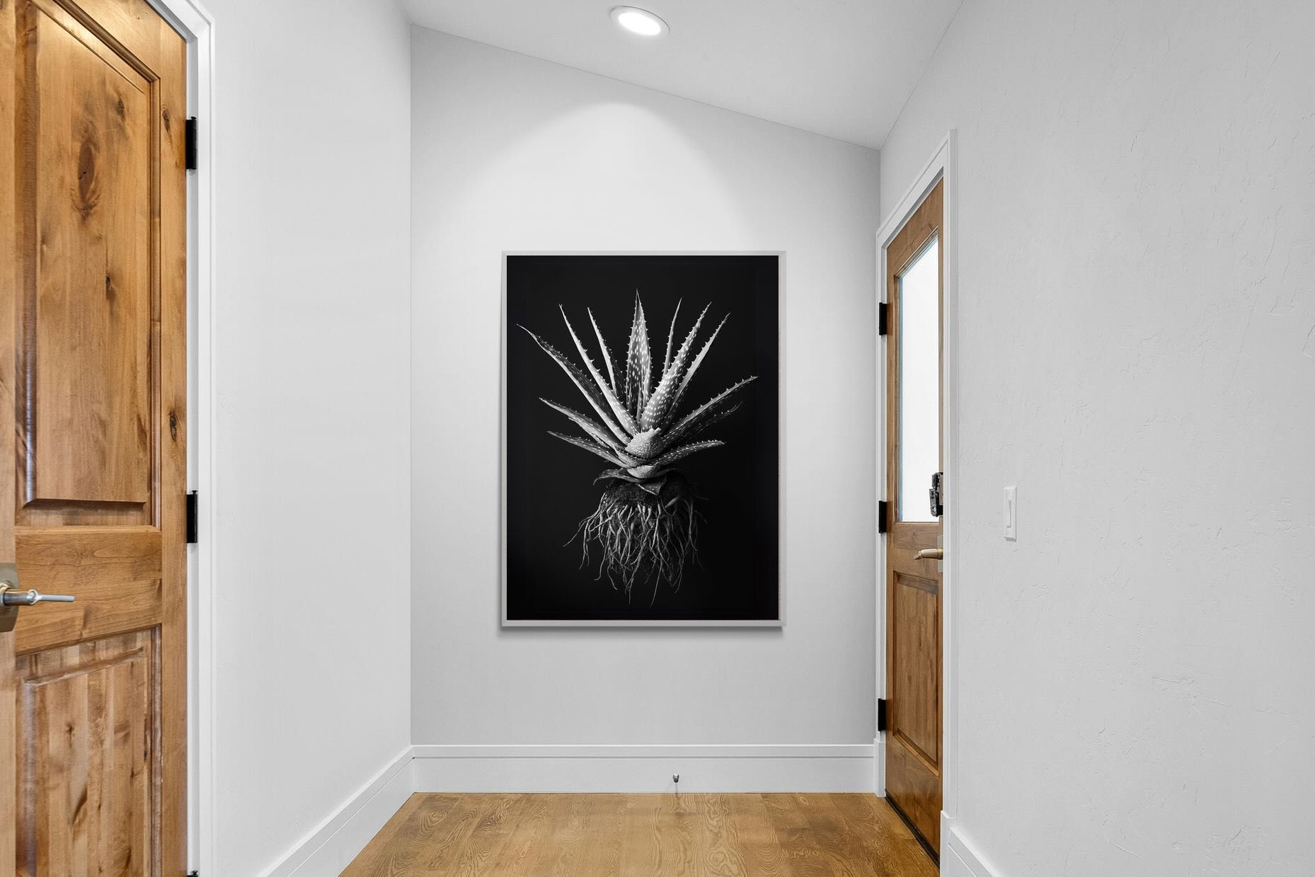 Pixalot Black Aloe