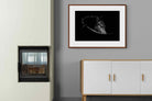 Pixalot ® Black Beauty