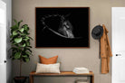 Pixalot ® Black Beauty