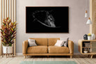 Pixalot ® Black Beauty