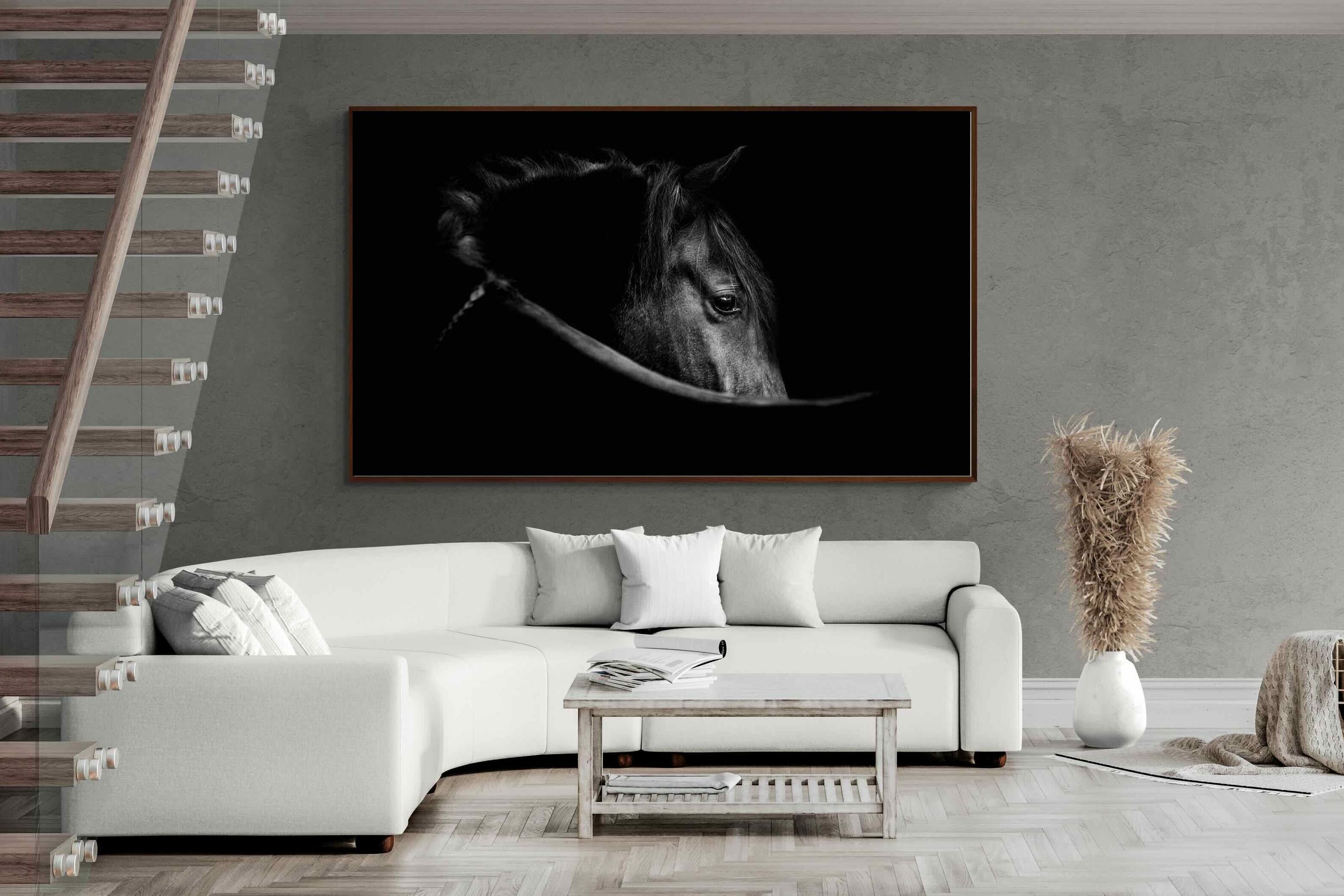 Pixalot ® Black Beauty