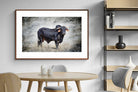 Pixalot ® Black Bull