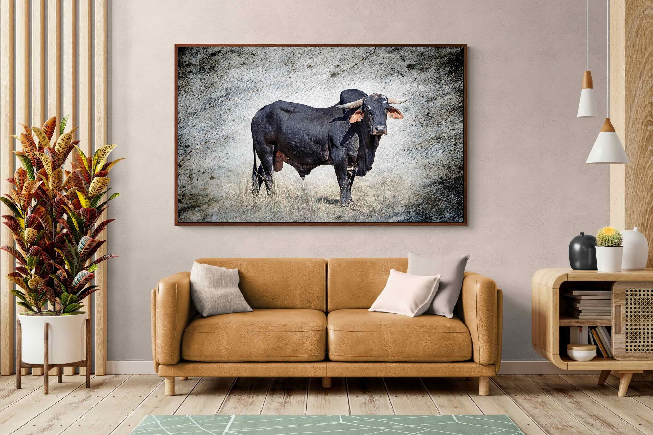 Pixalot ® Black Bull