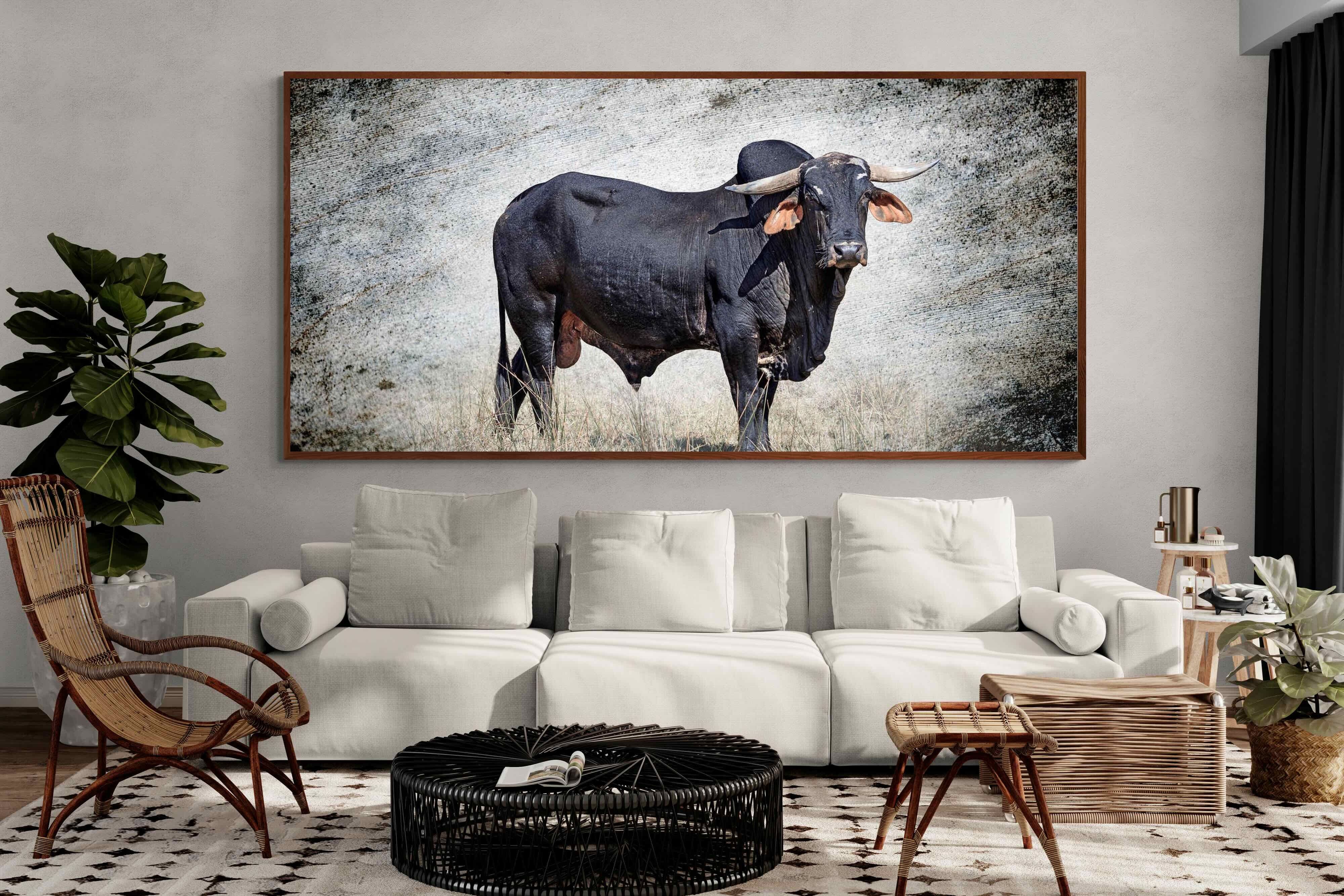 Pixalot ® Black Bull