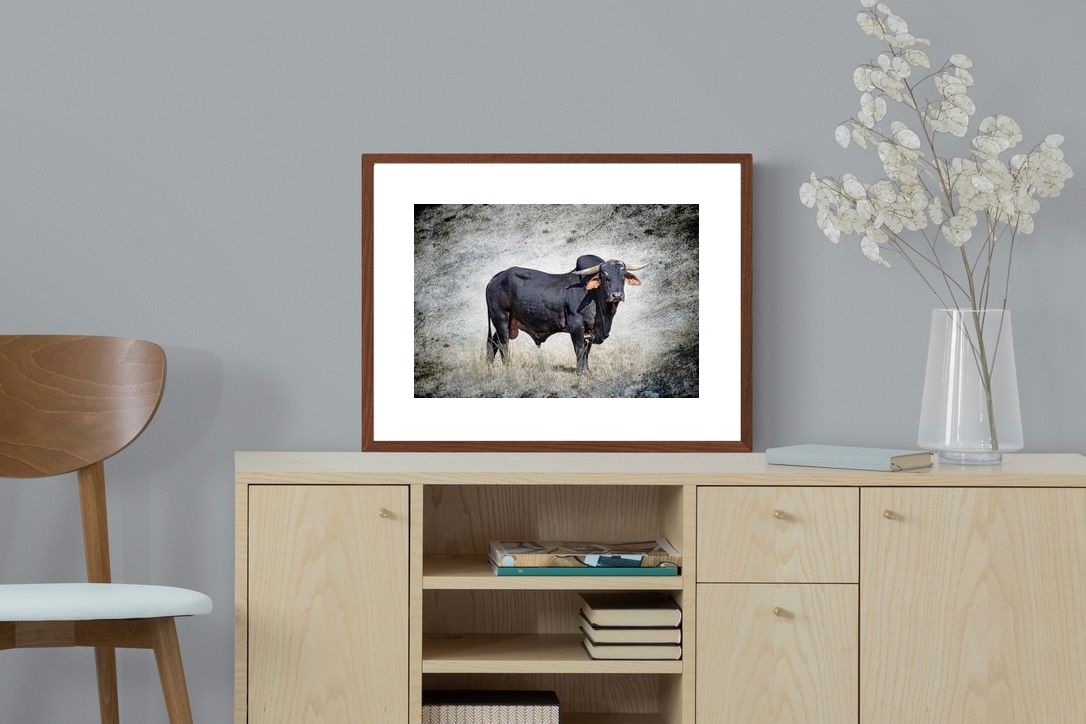 Pixalot ® Black Bull