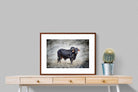 Pixalot ® Black Bull