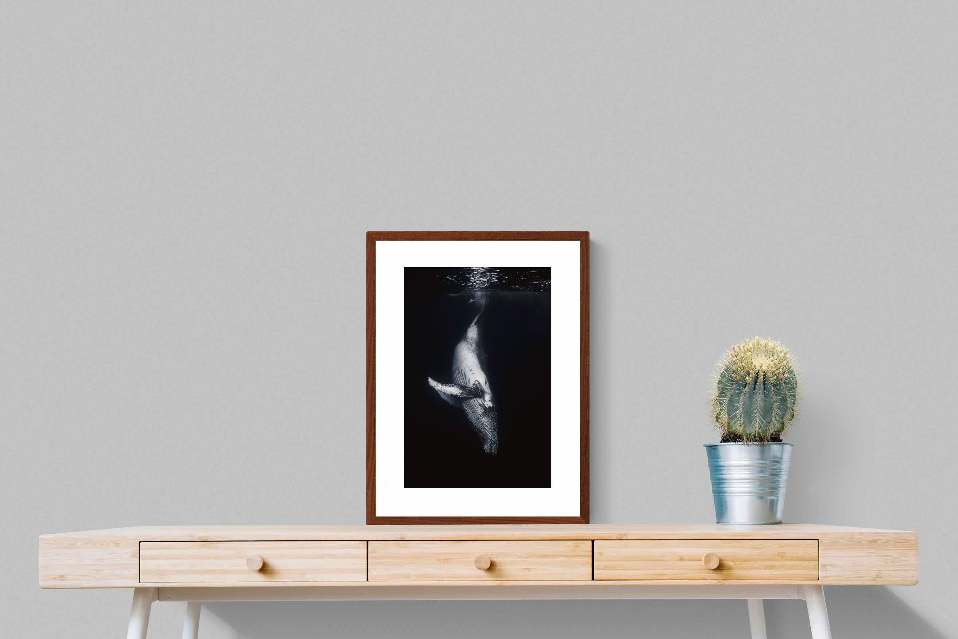 Pixalot ® Black Whale
