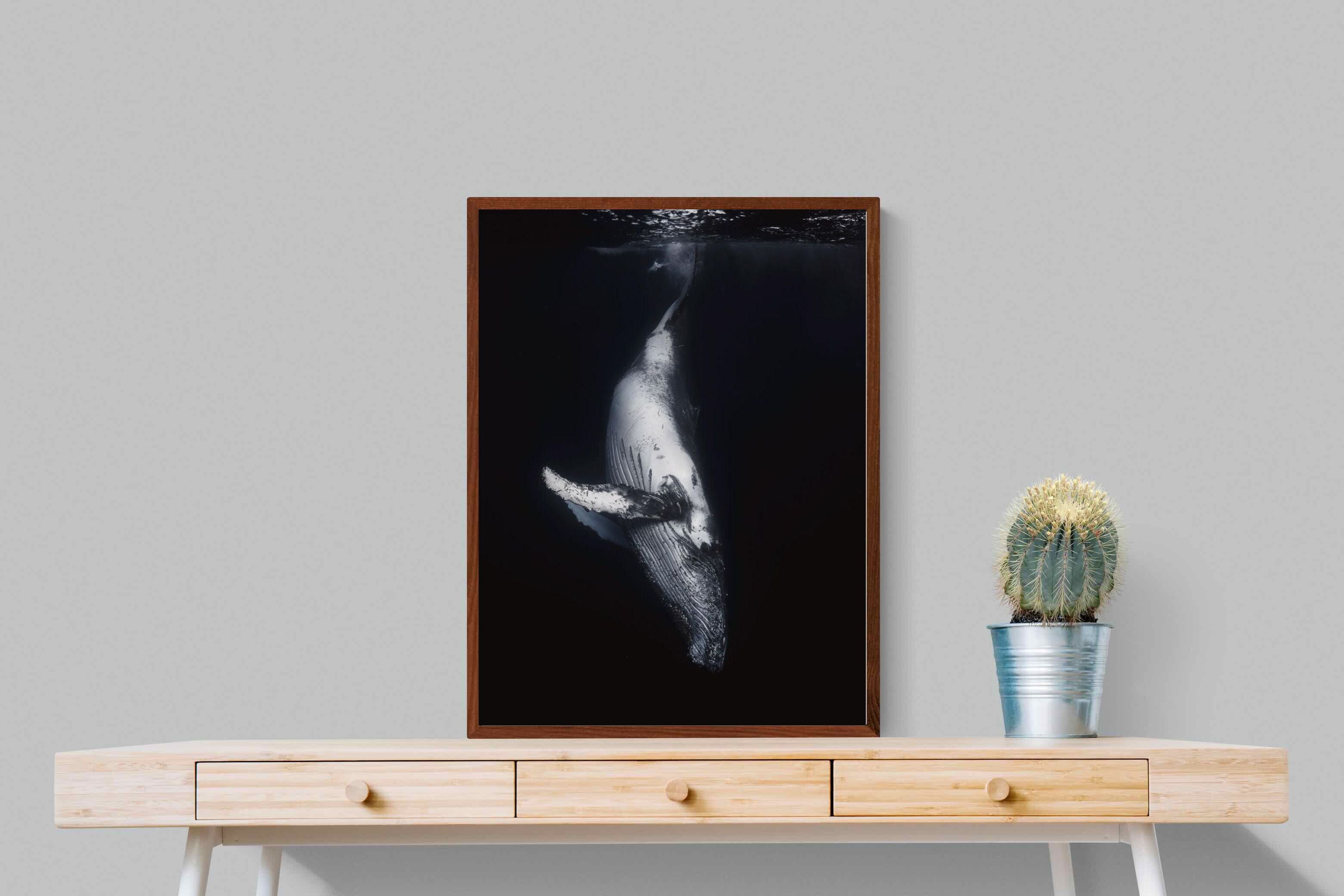 Pixalot ® Black Whale
