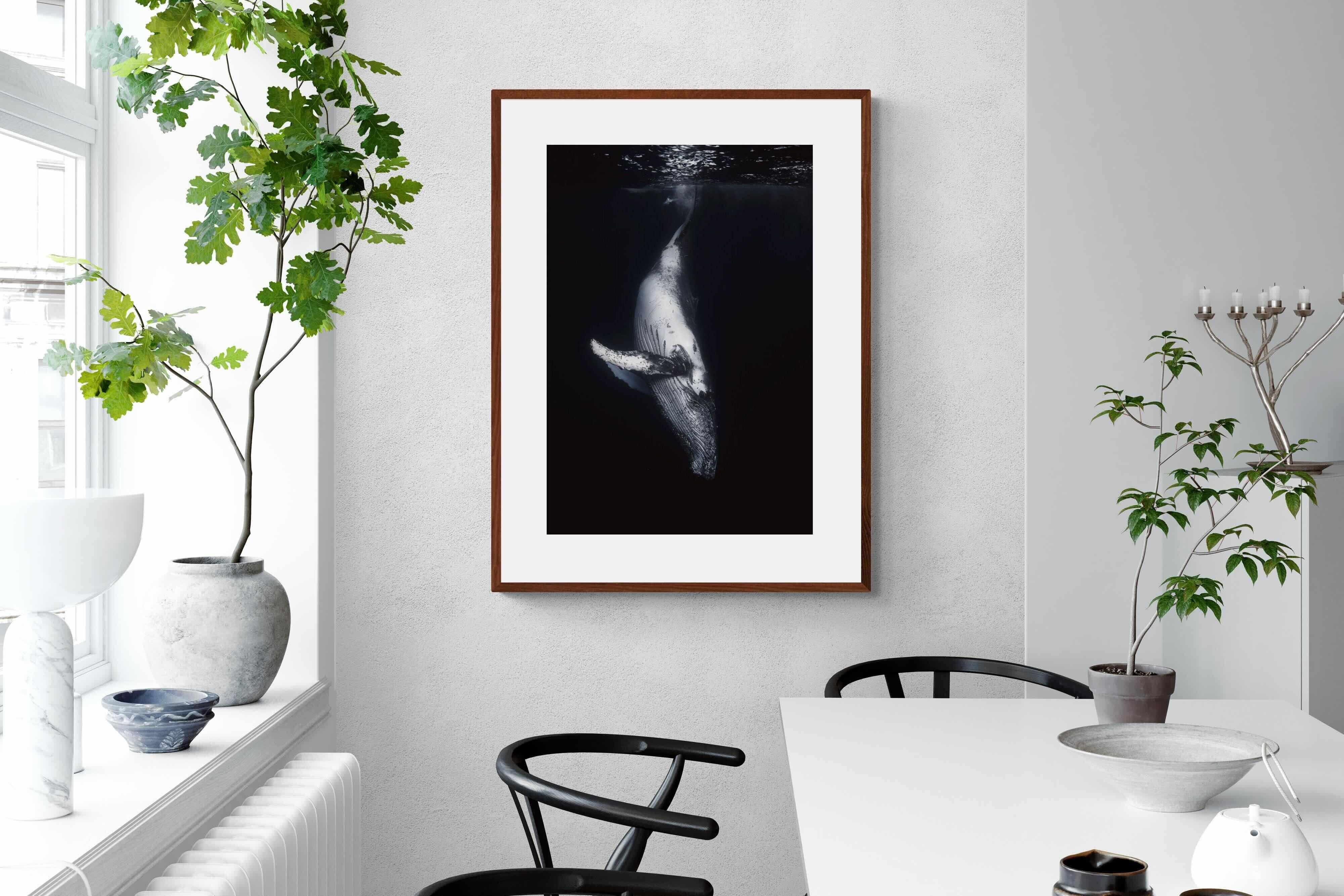 Pixalot ® Black Whale
