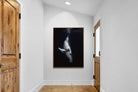 Pixalot ® Black Whale