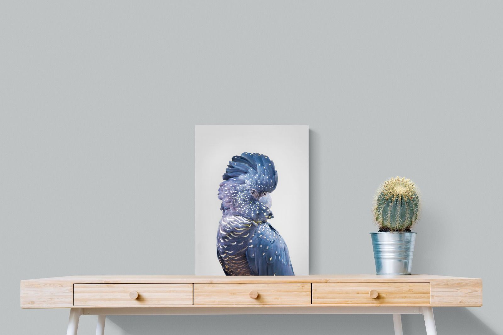 Pixalot Blue Cockatoo