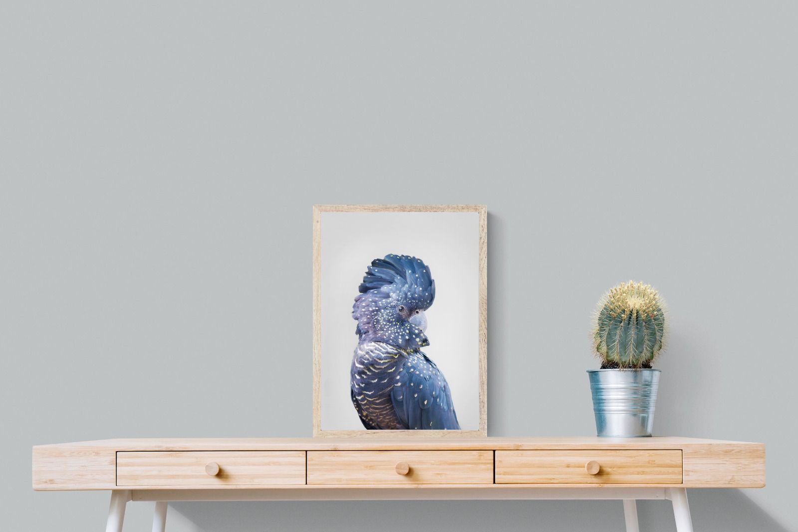 Pixalot Blue Cockatoo