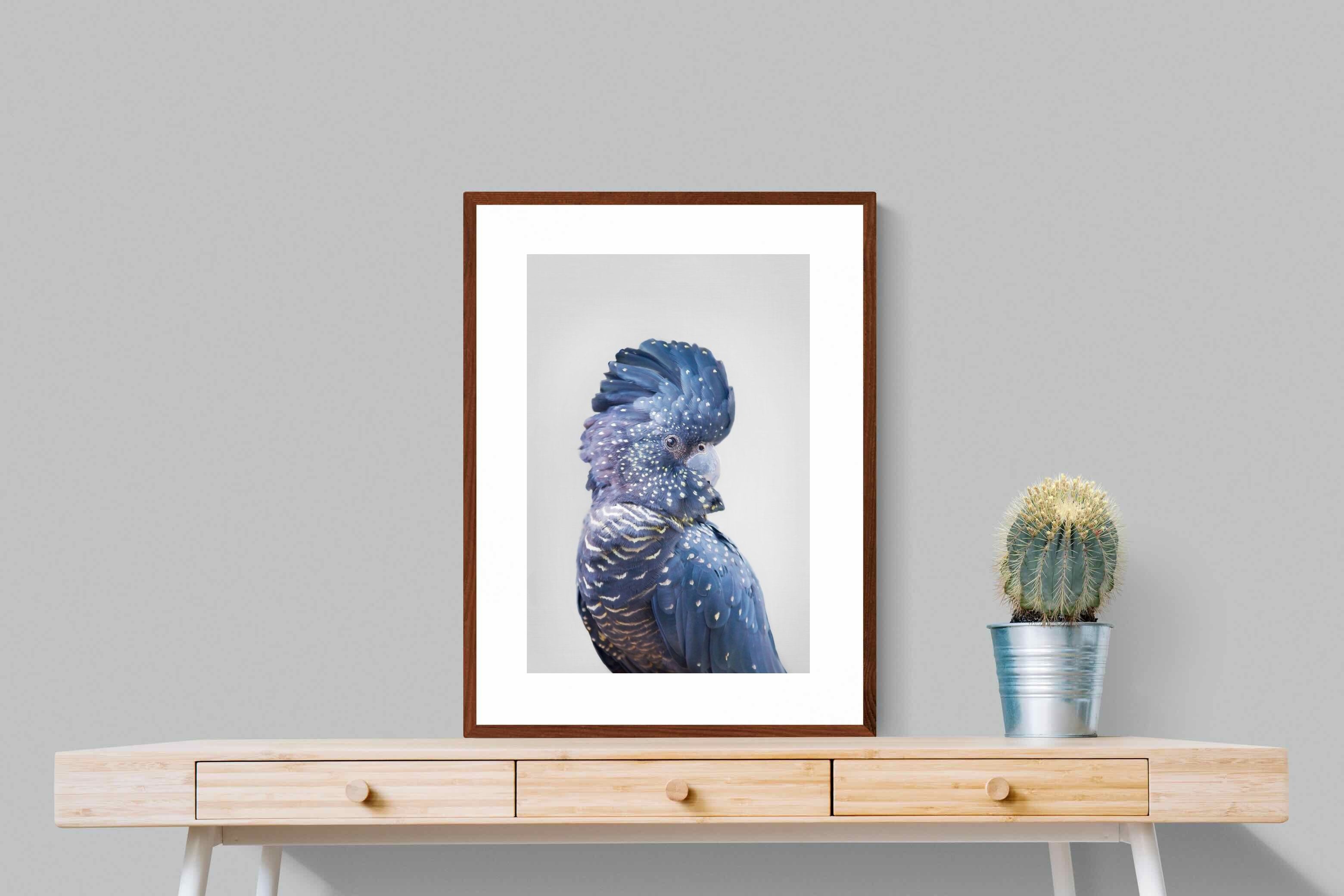 Pixalot Blue Cockatoo