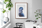 Pixalot Blue Cockatoo