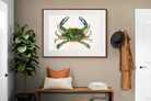 Pixalot ® Blue Crab Illustration