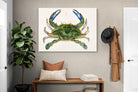 Pixalot ® Blue Crab Illustration