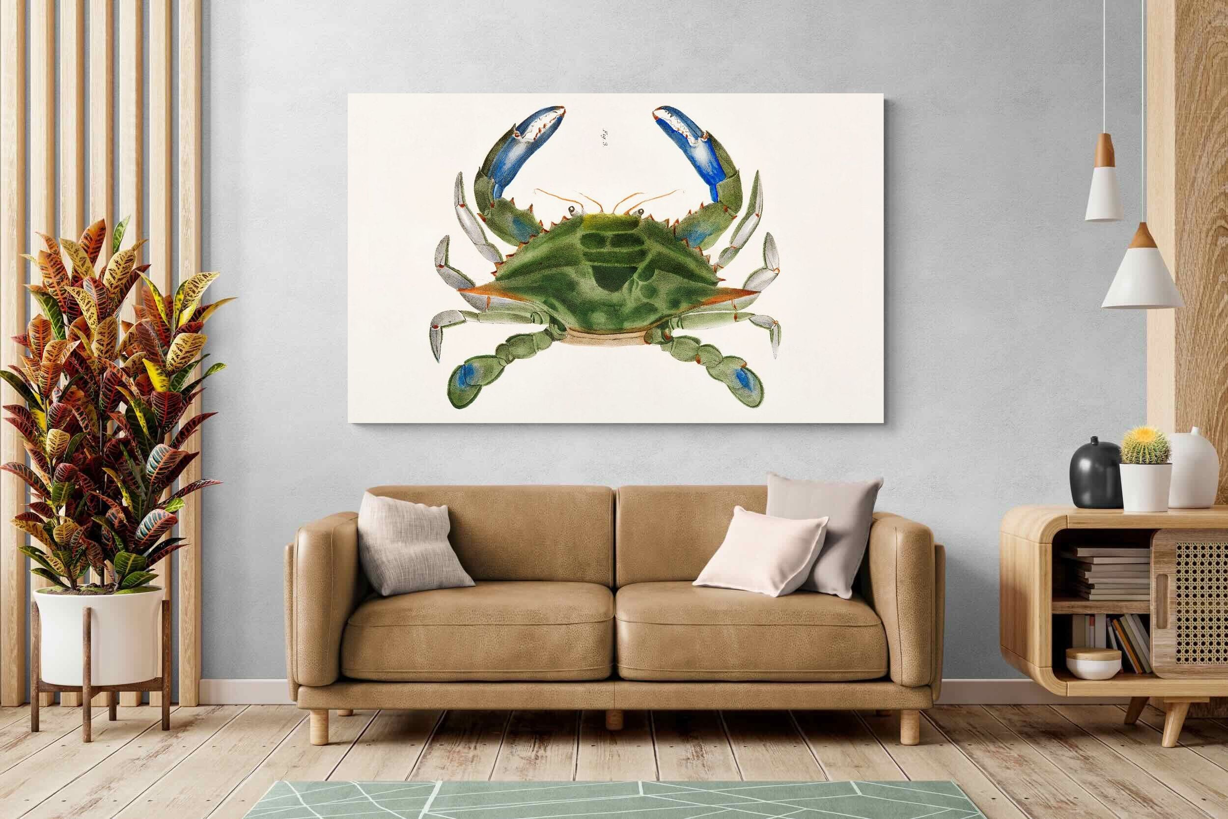 Pixalot ® Blue Crab Illustration
