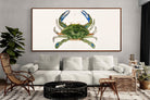 Pixalot ® Blue Crab Illustration