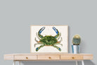 Pixalot ® Blue Crab Illustration