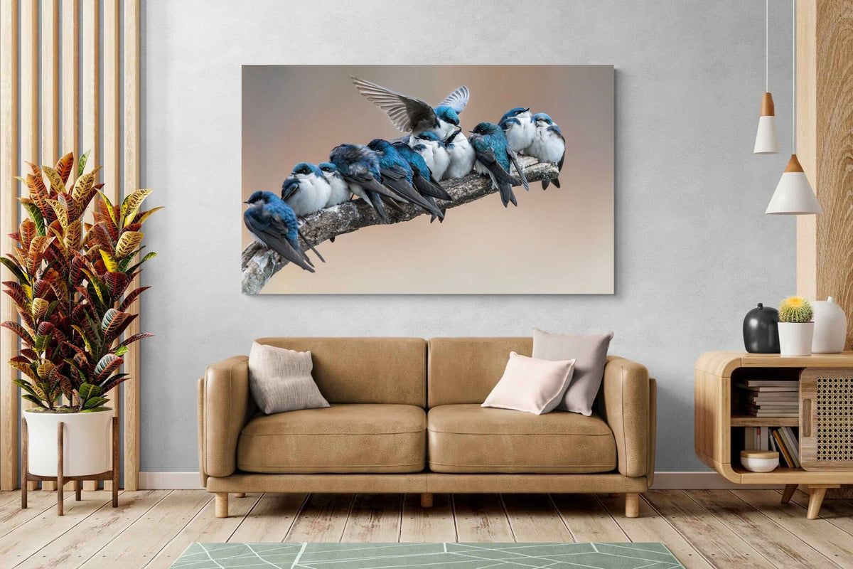 Pixalot ® Blue Gathering