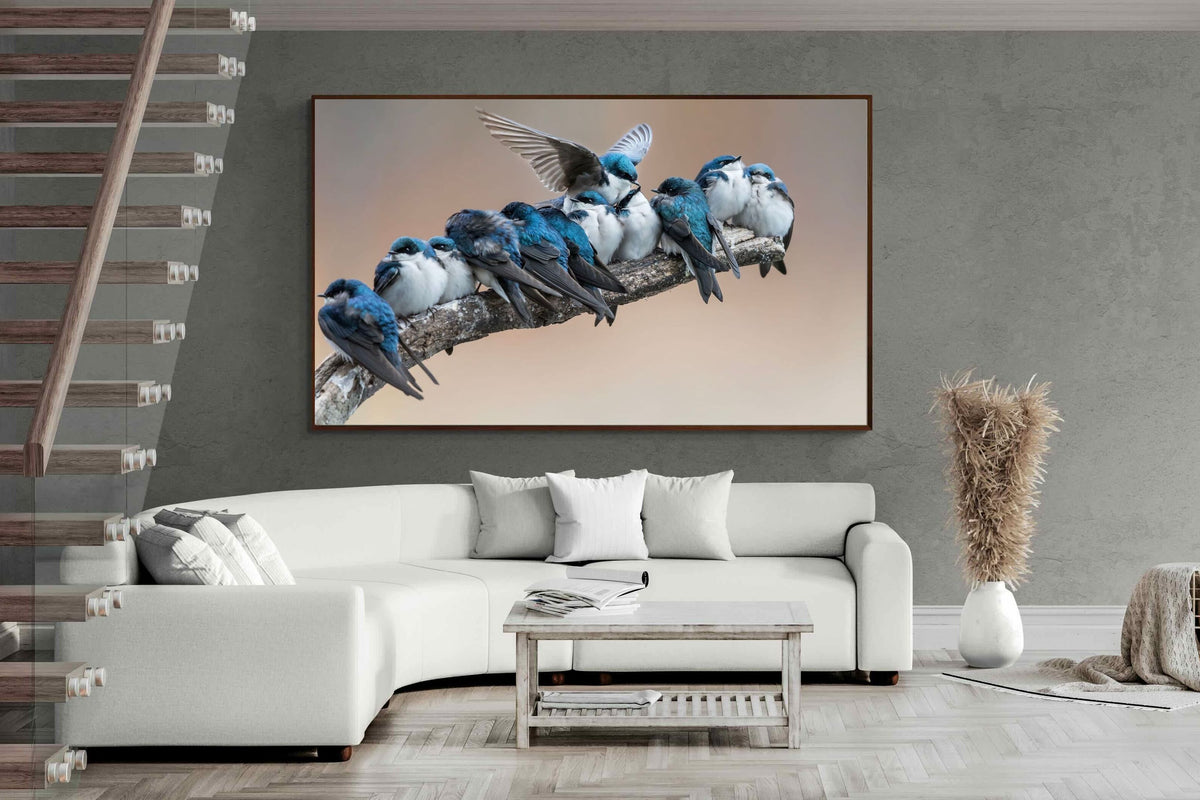 Pixalot ® Blue Gathering