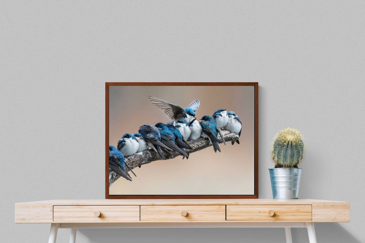 Pixalot ® Blue Gathering