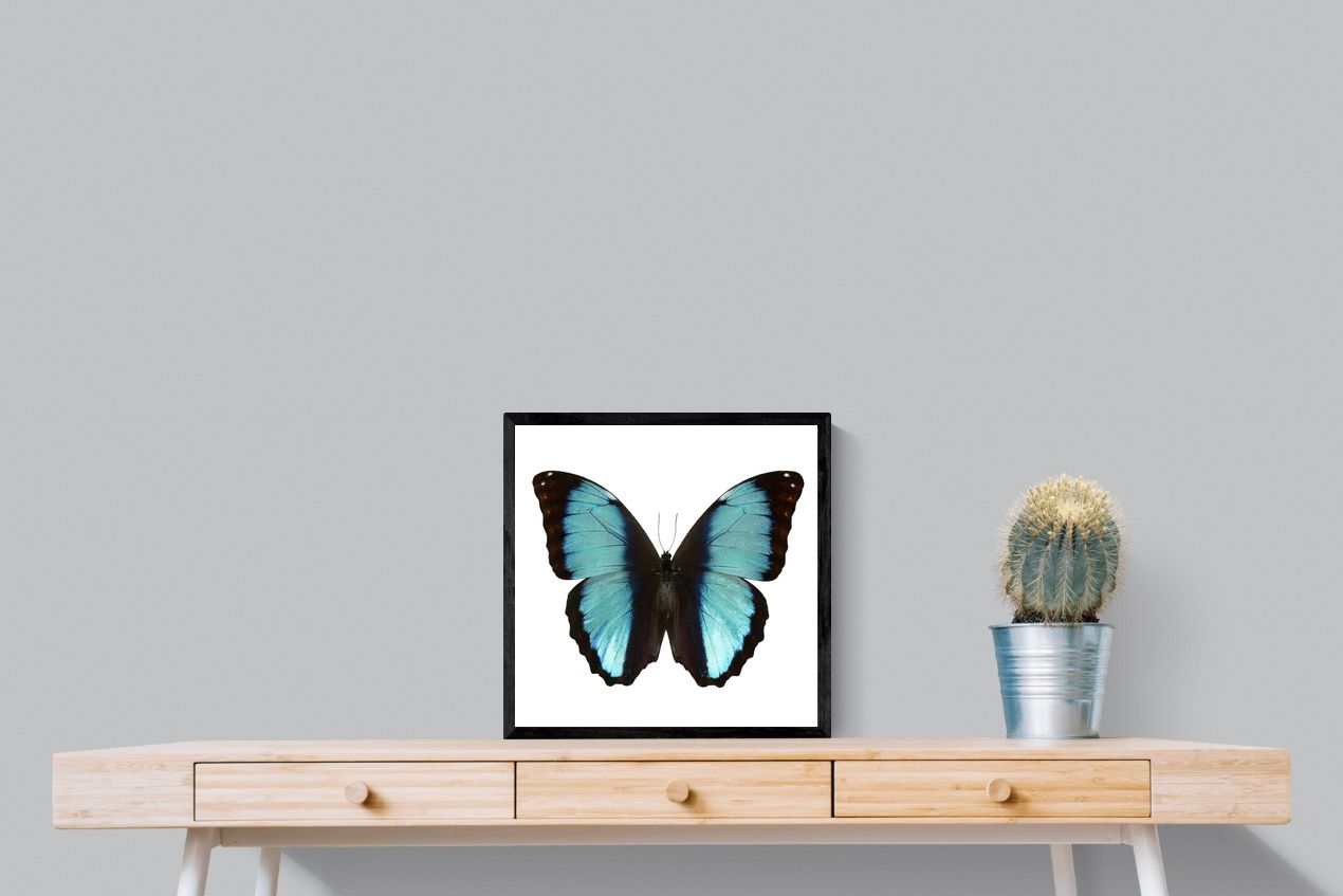 Pixalot Blue Morpho