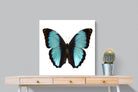 Pixalot Blue Morpho