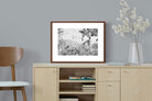 Pixalot ® Botanical Beauty (Black & White)